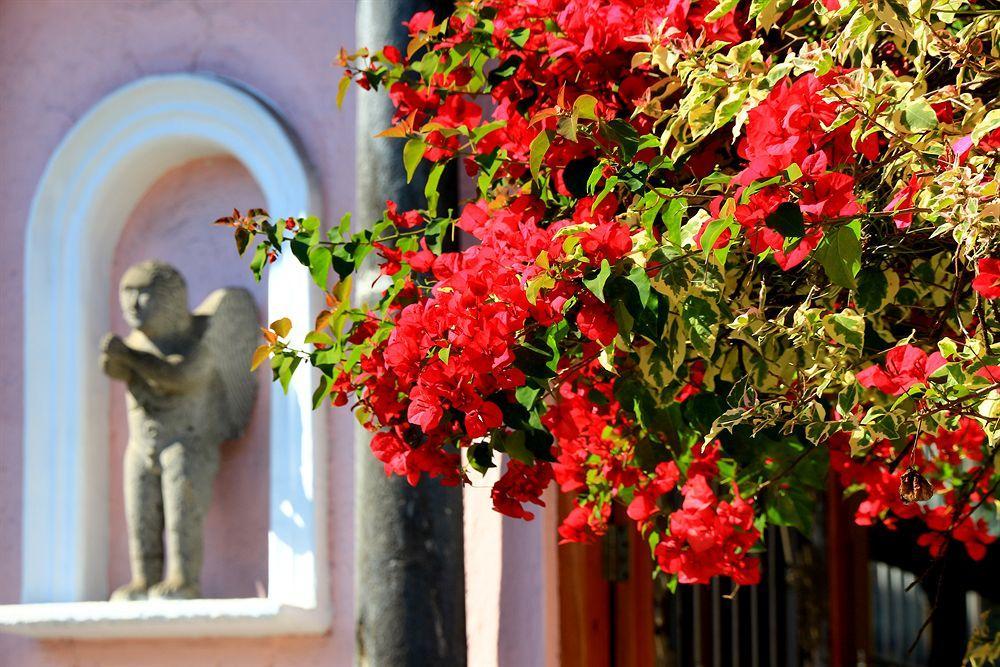 Hotel El Pueblito De Fortin Fortín de las Flores المظهر الخارجي الصورة